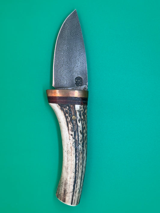 couteau type: chasse